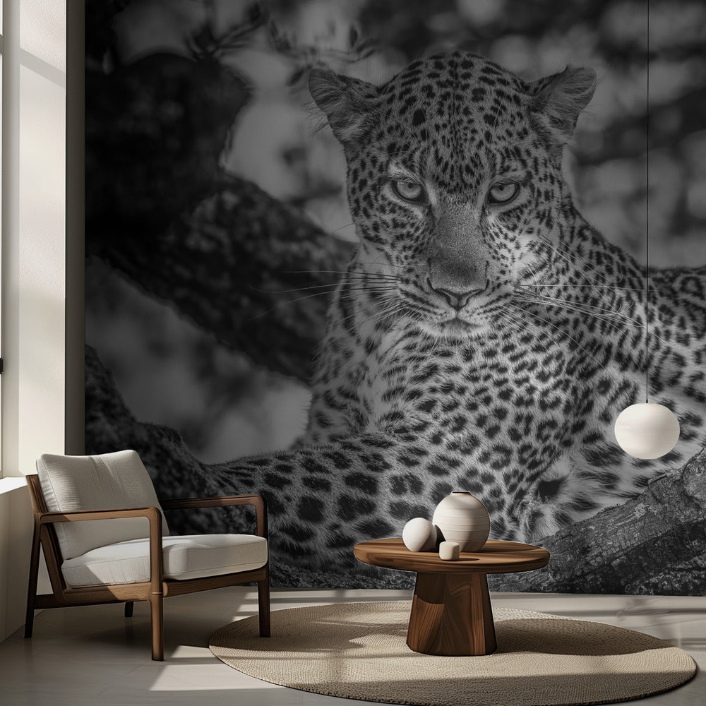 Monokrom skönhet | Fototapet