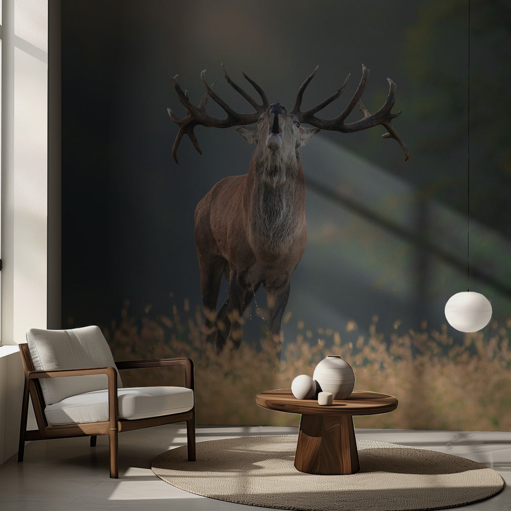 Hjortbröllopssång | Fototapet