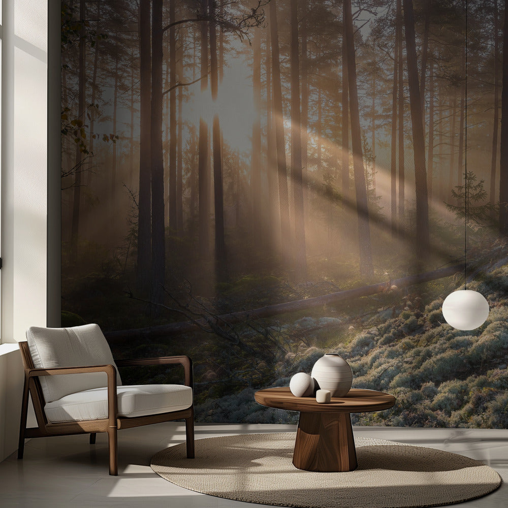 Dimma i skogen med vit mossa i förgrunden | Fototapet