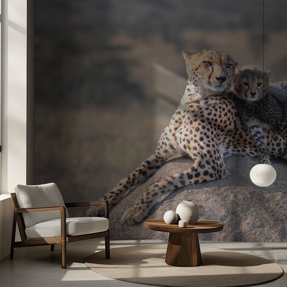 Gepard och kopp! Fototapet