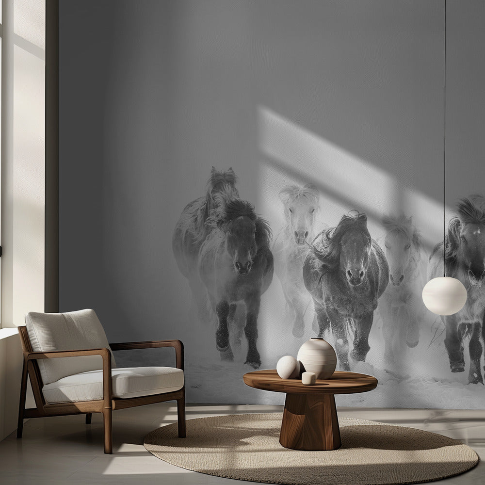 Löpning i snön | Fototapet