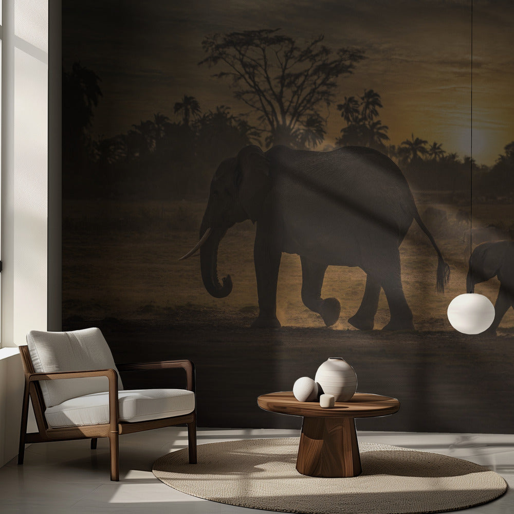 Följ mig | Fototapet