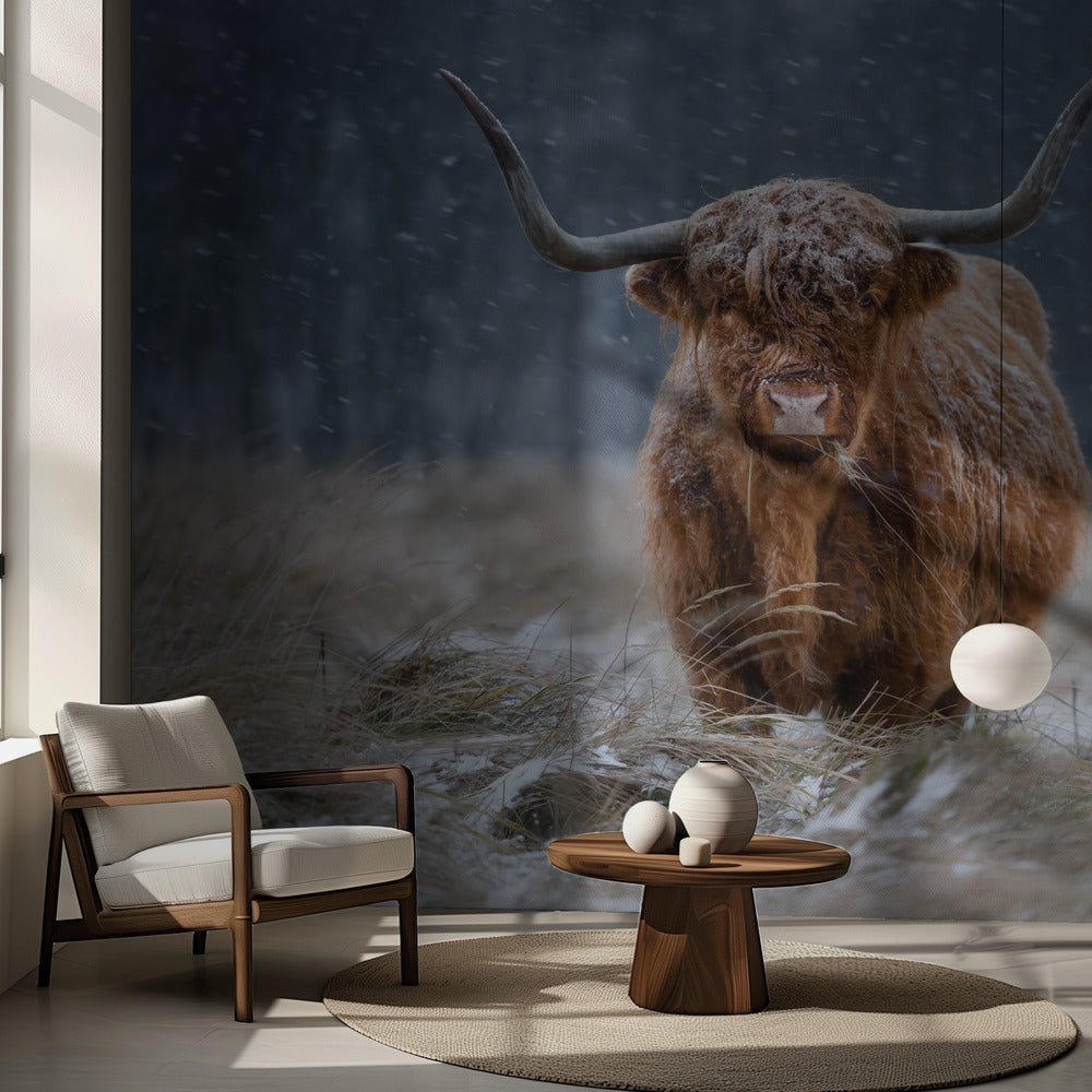 Snöig höglandsko | Fototapet