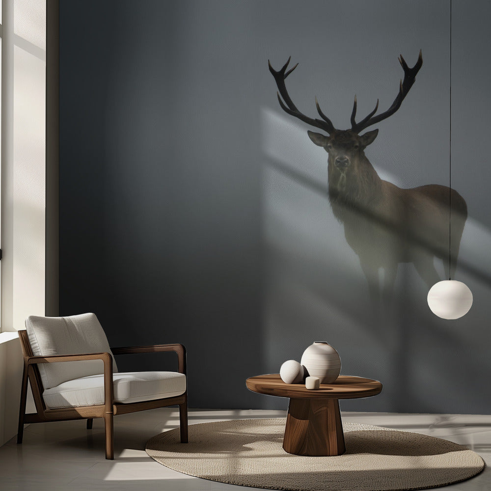 Förgänglighet | Fototapet