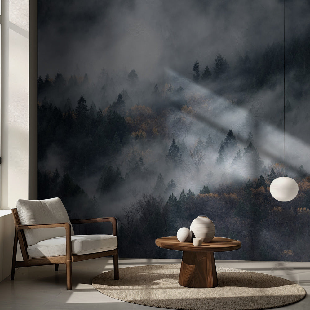 En dimmig stig | Fototapet