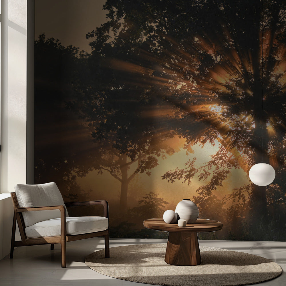 Brinnande träd | Fototapet