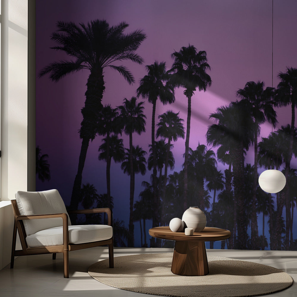 Palmer med rosa himmel | Fototapet