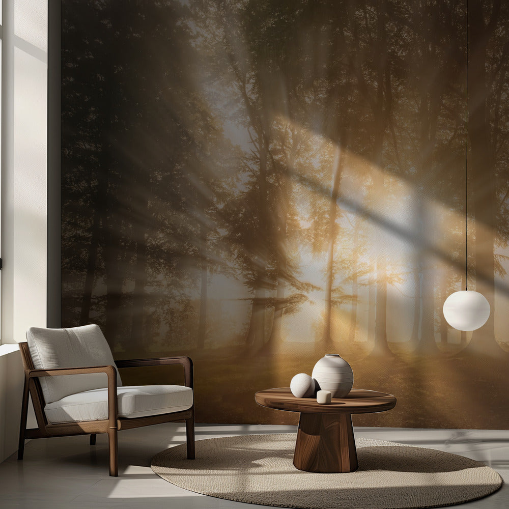 Blindad av ljuset | Fototapet