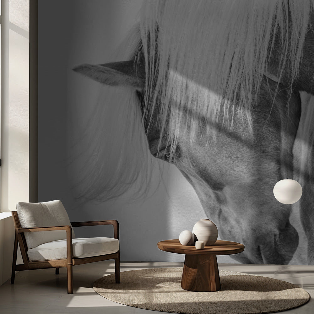 Halvfingerporträtt | Fototapet