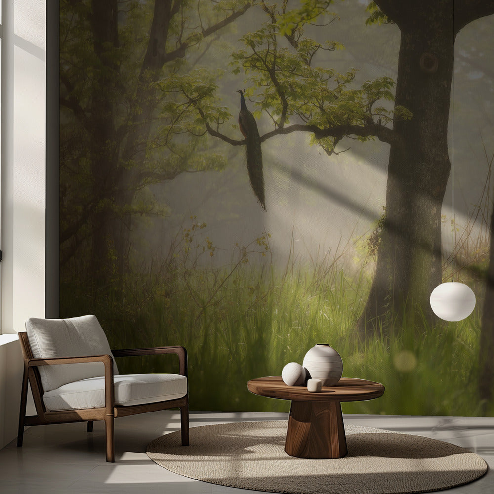 Påfågel | Fototapet