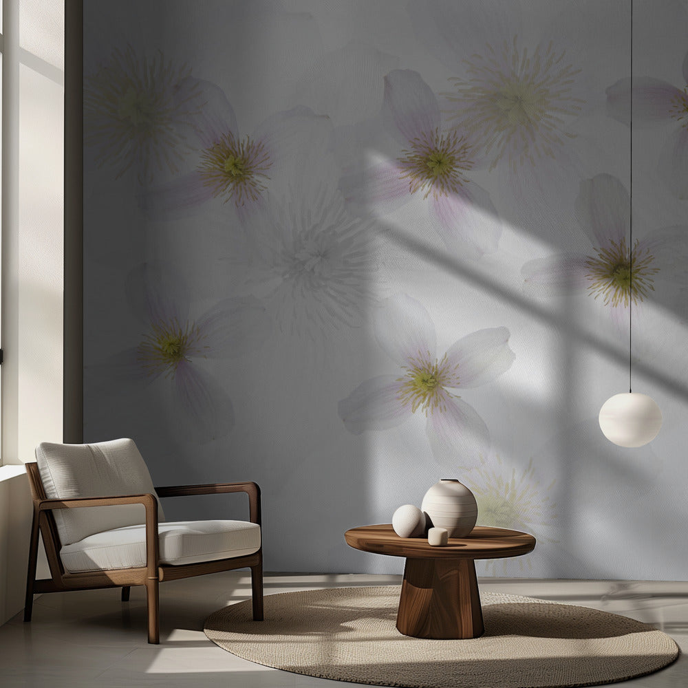 Klematiskonst | Fototapet