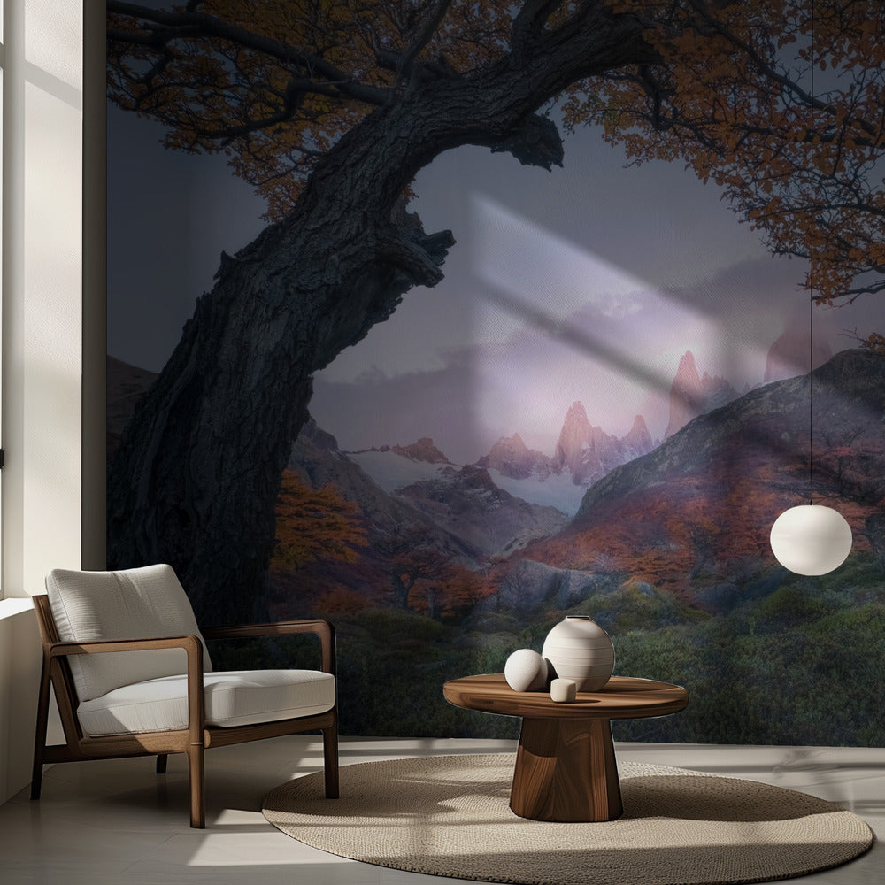 Solnedgång från fönstret | Fototapet