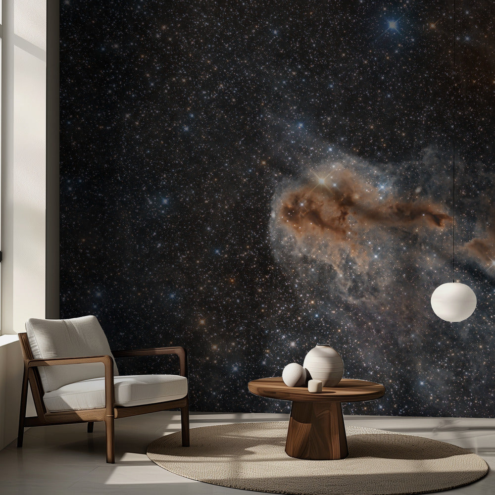 Rutten fisknebula | Fototapet