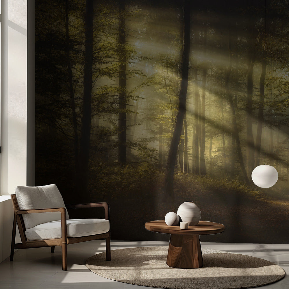 Höstlig morgon | Fototapet