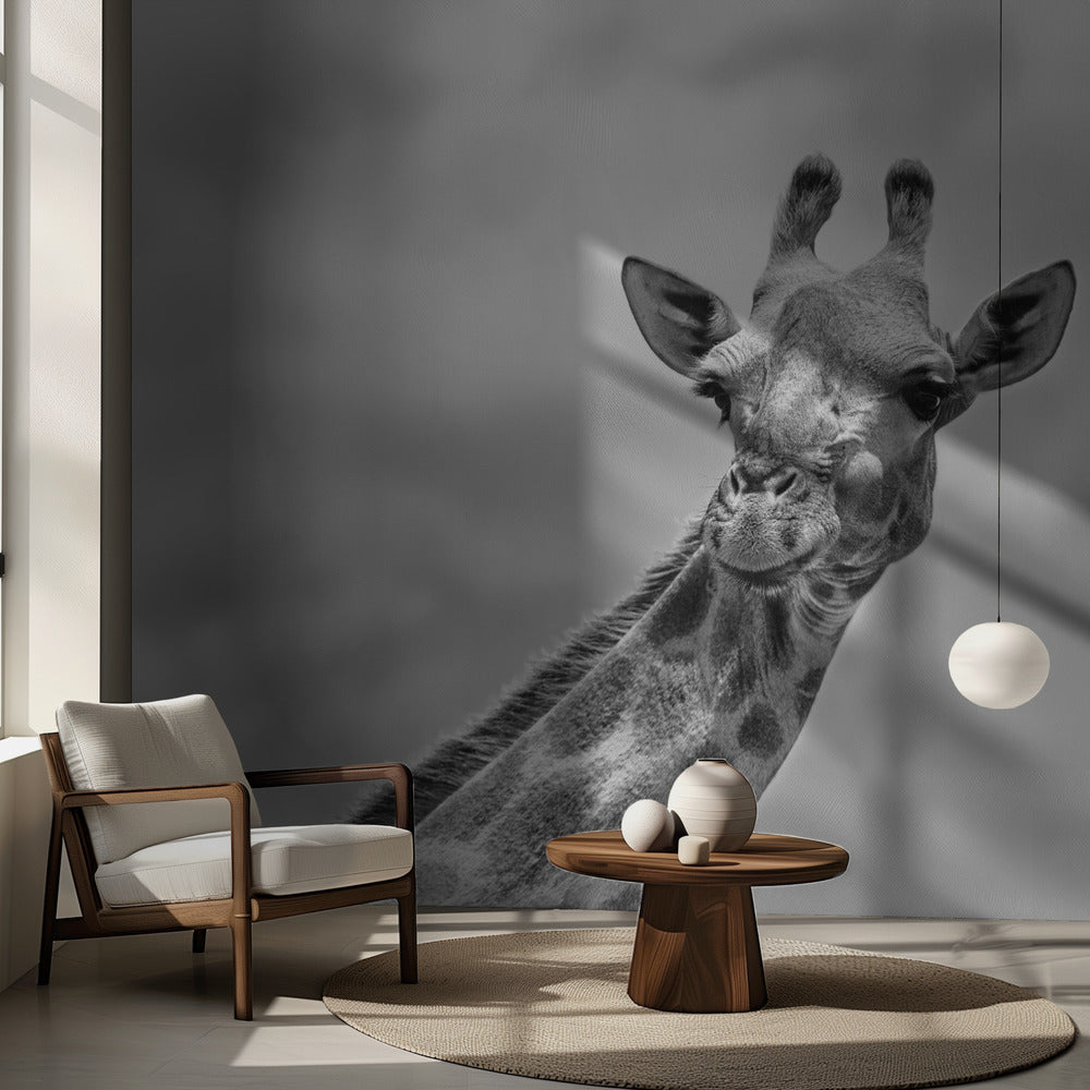 Giraffen - Wildlife V | Fototapet