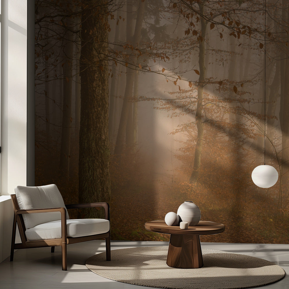 Ett år har gått | Fototapet