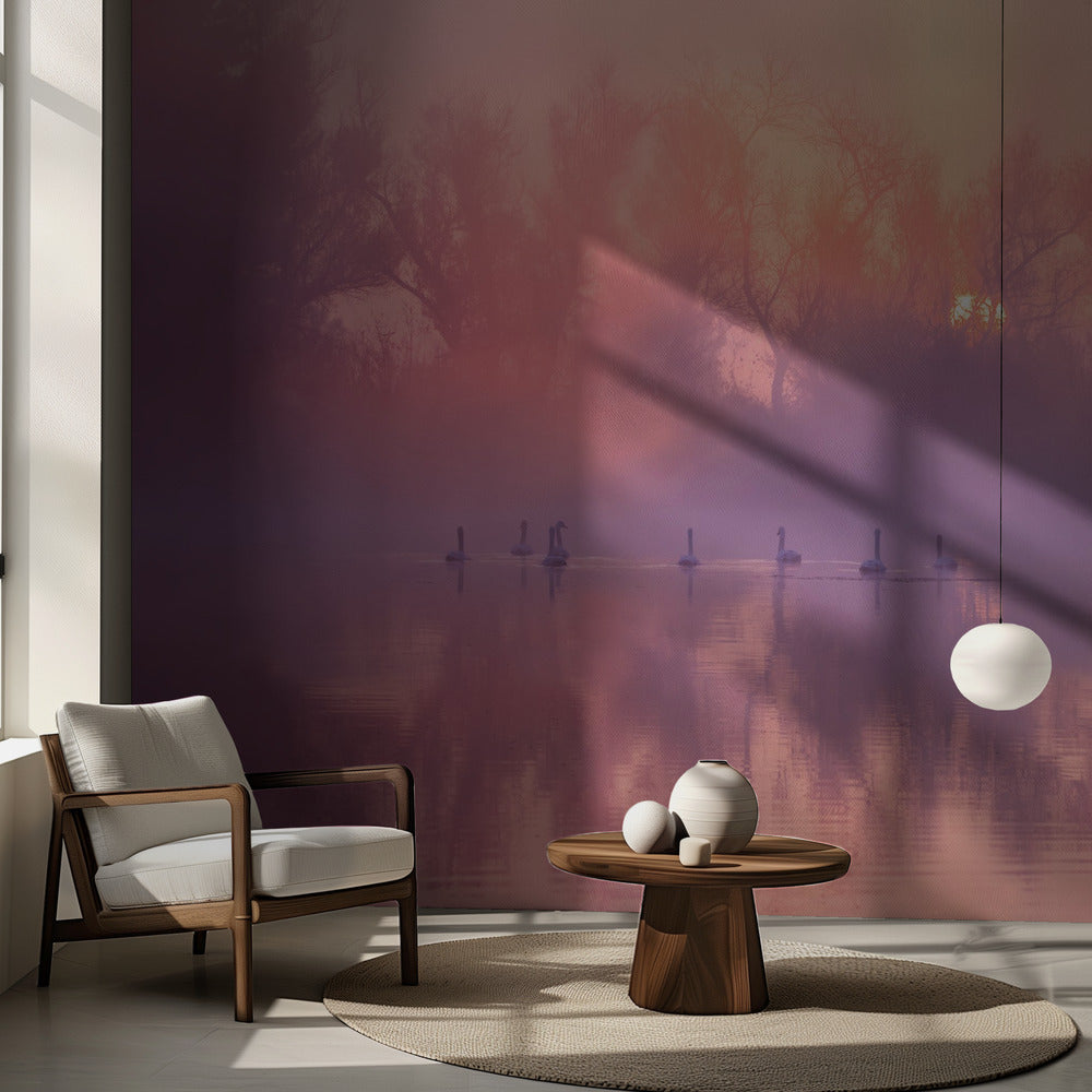 Soluppgång på Svansjön | Fototapet