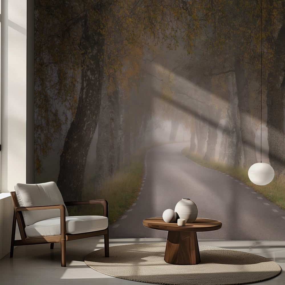 Fallande löv | Fototapet