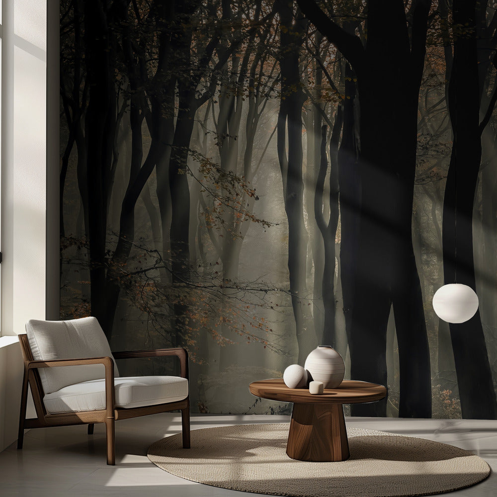 Speulderbos | Fototapet