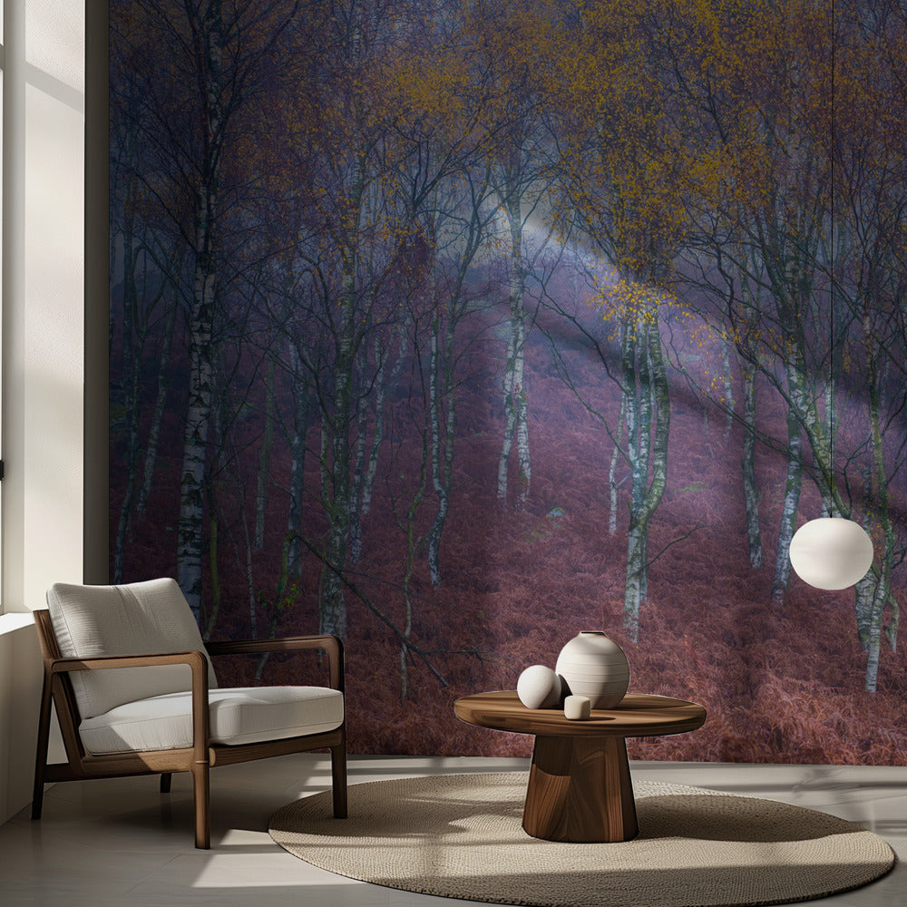 Namnlös | Fototapet