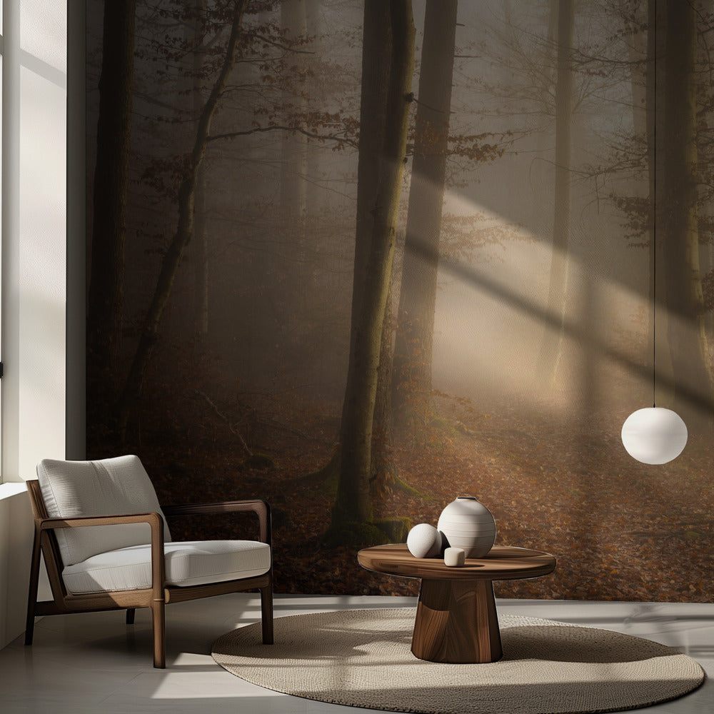 Novemberskogen | Fototapet
