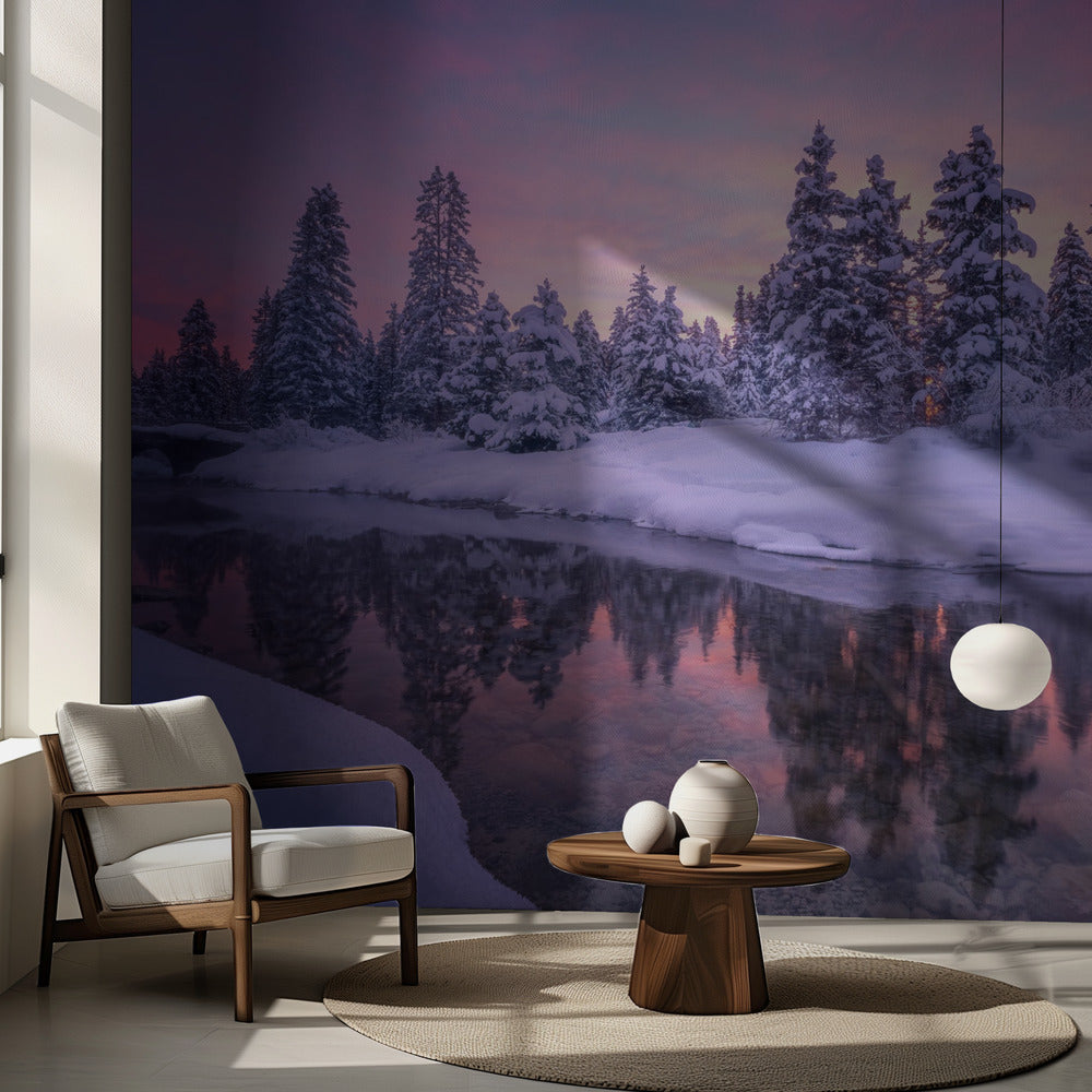 Skogsmorgon | Fototapet