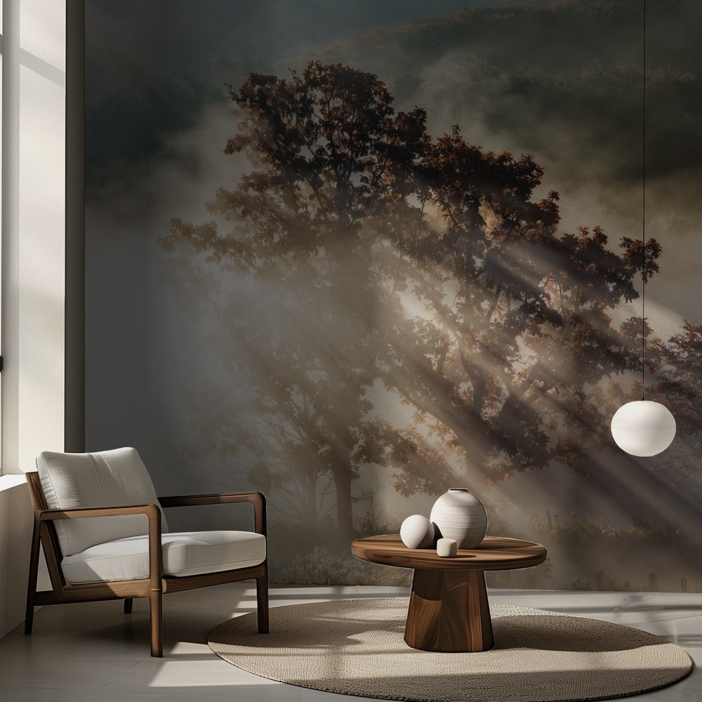 ljusstråle Fototapet