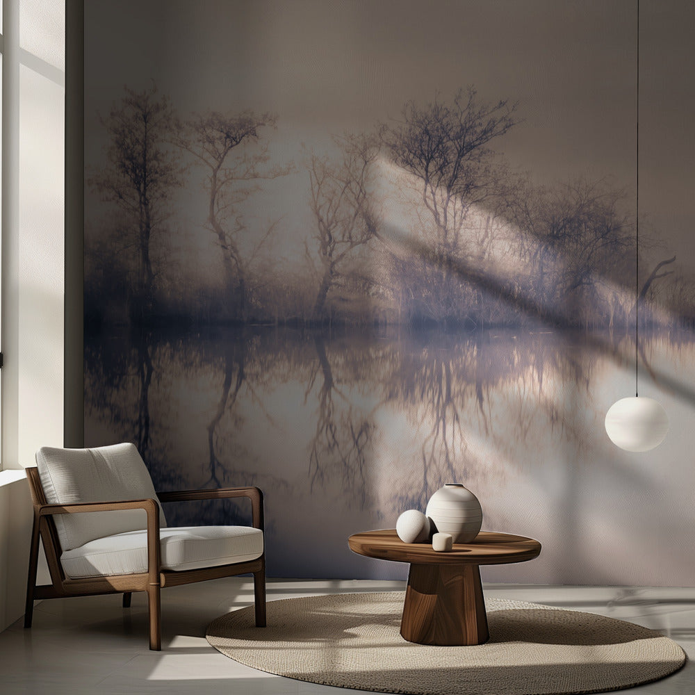 Kall morgon vid dammen | Fototapet