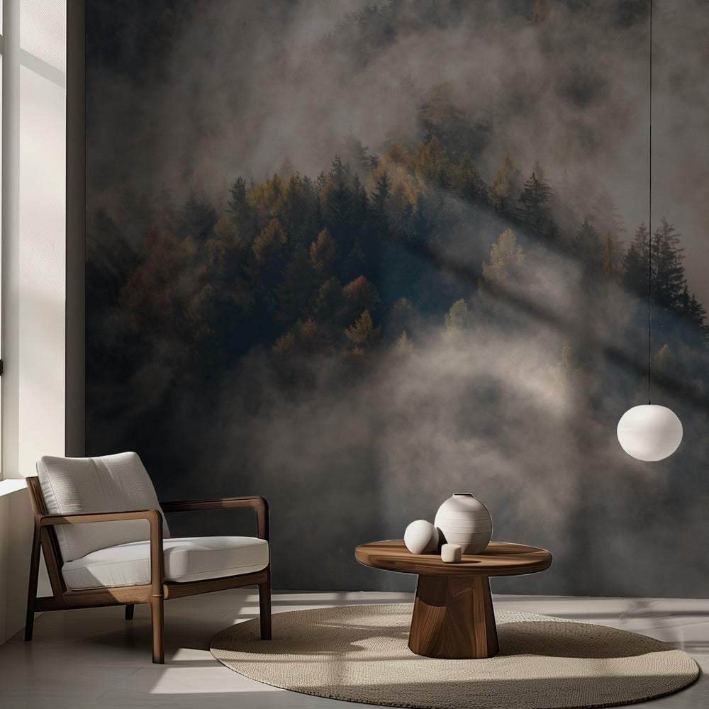 Dimma i träden | Fototapet