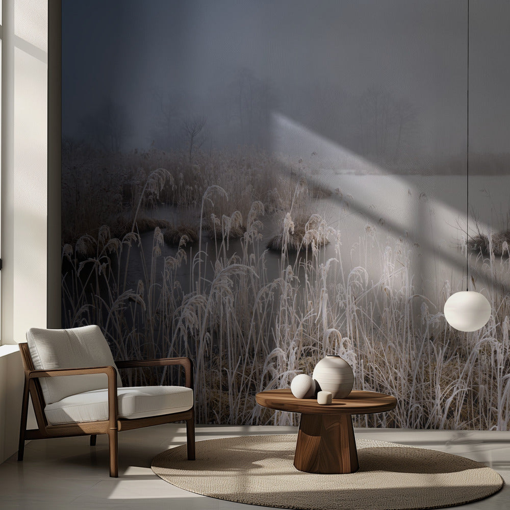 Vinter i Bayern | Fototapet