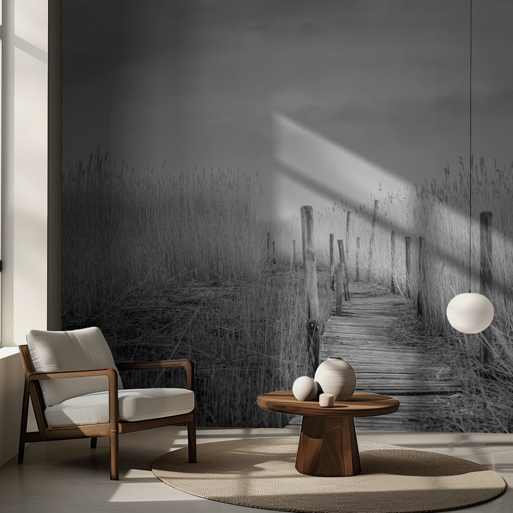 Plankbron | Fototapet