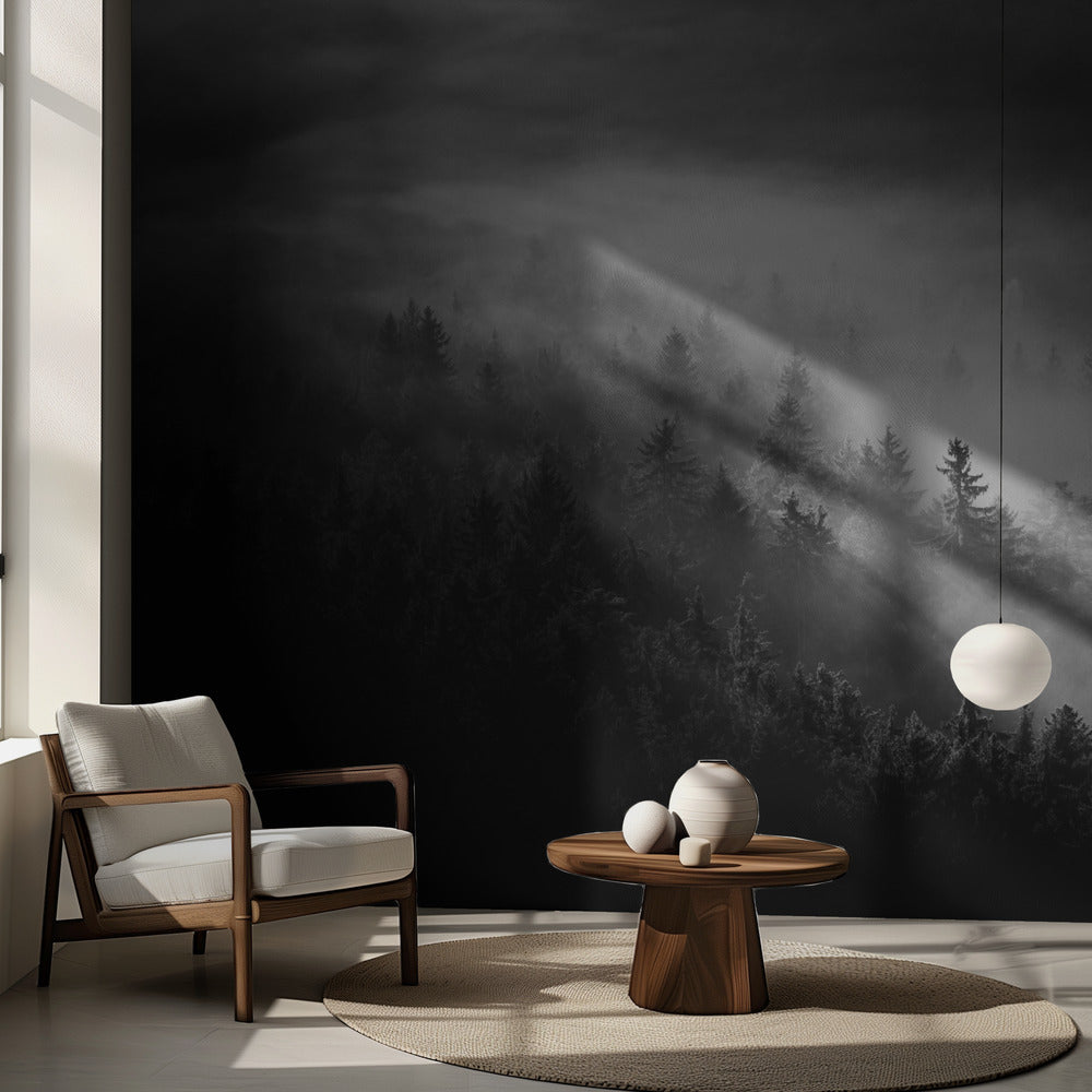 Dimmig | Fototapet