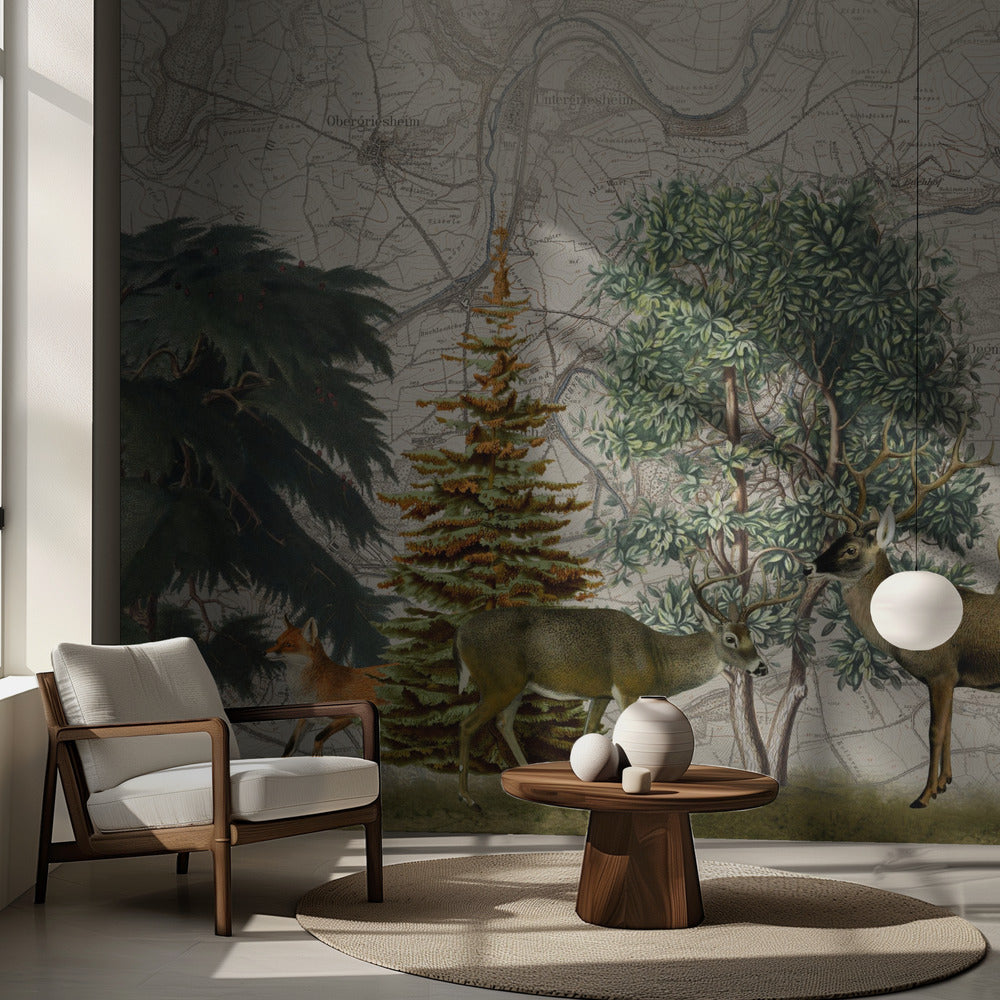 Nordiska skogar nr 1 | Fototapet