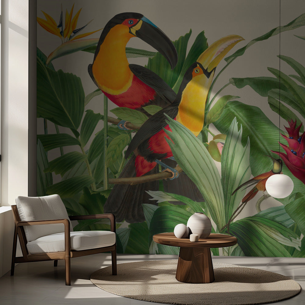 Regnskogens fågelträdgård | Fototapet