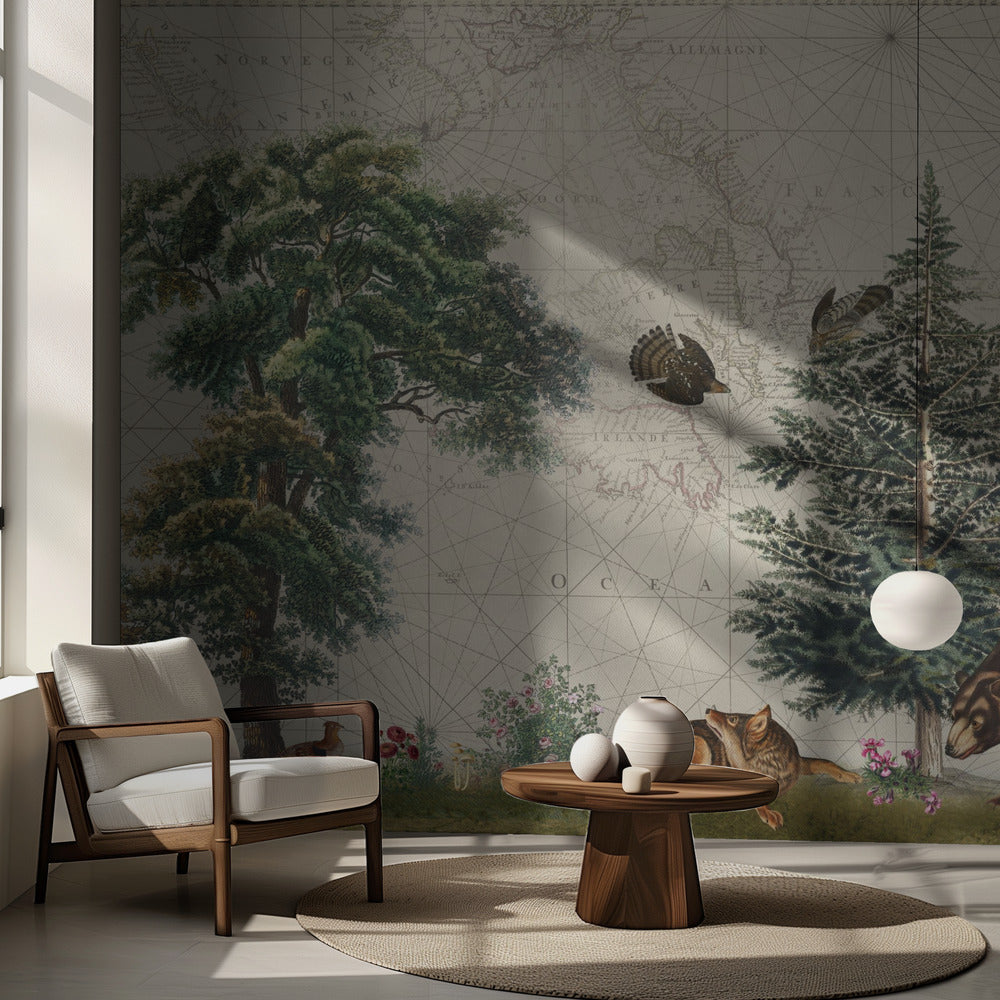 Nordiska skogar 5 | Fototapet