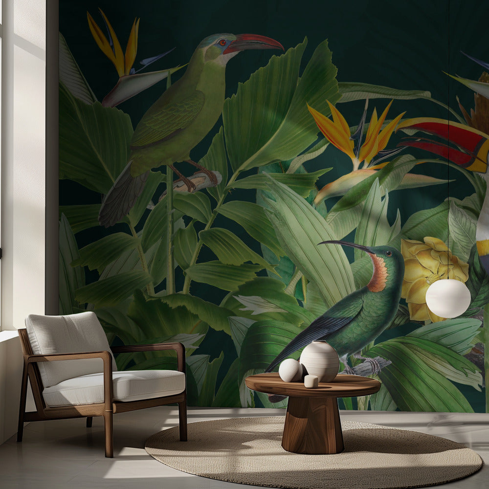 Regnskogsfåglar | Fototapet