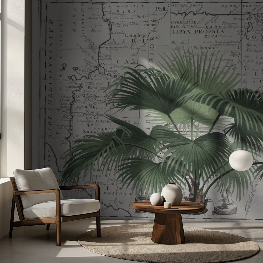 Tropiskt imperium nr 3 | Fototapet