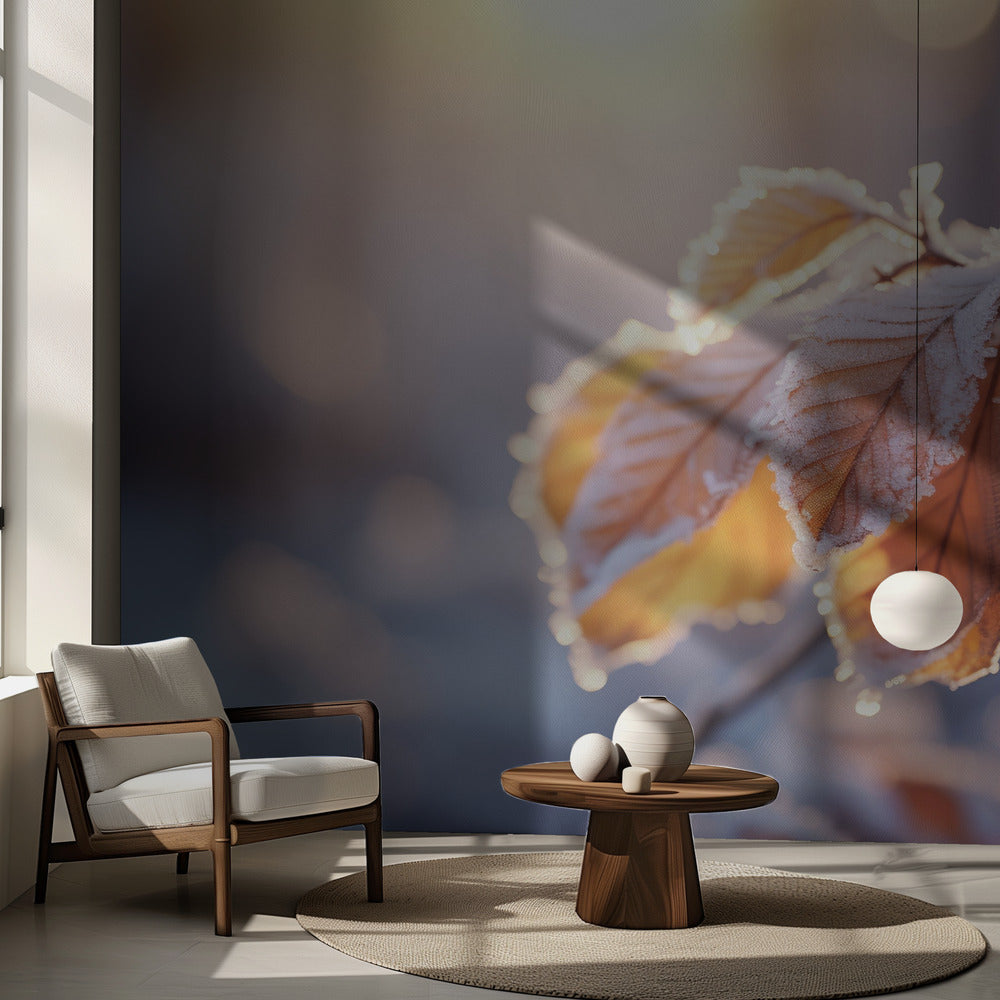 Vinterintryck nr 10 | Fototapet