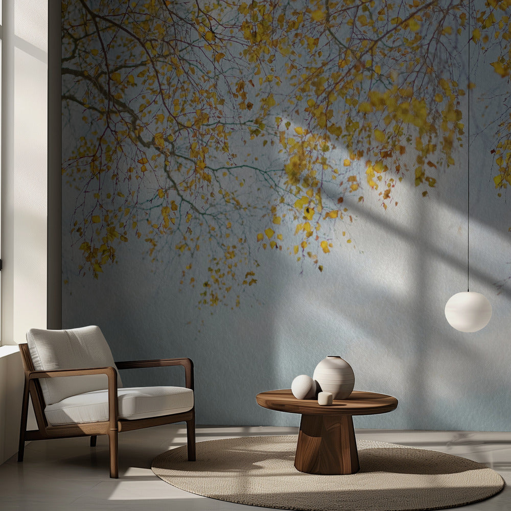 Silverbjörklöv på blå himmel | Fototapet