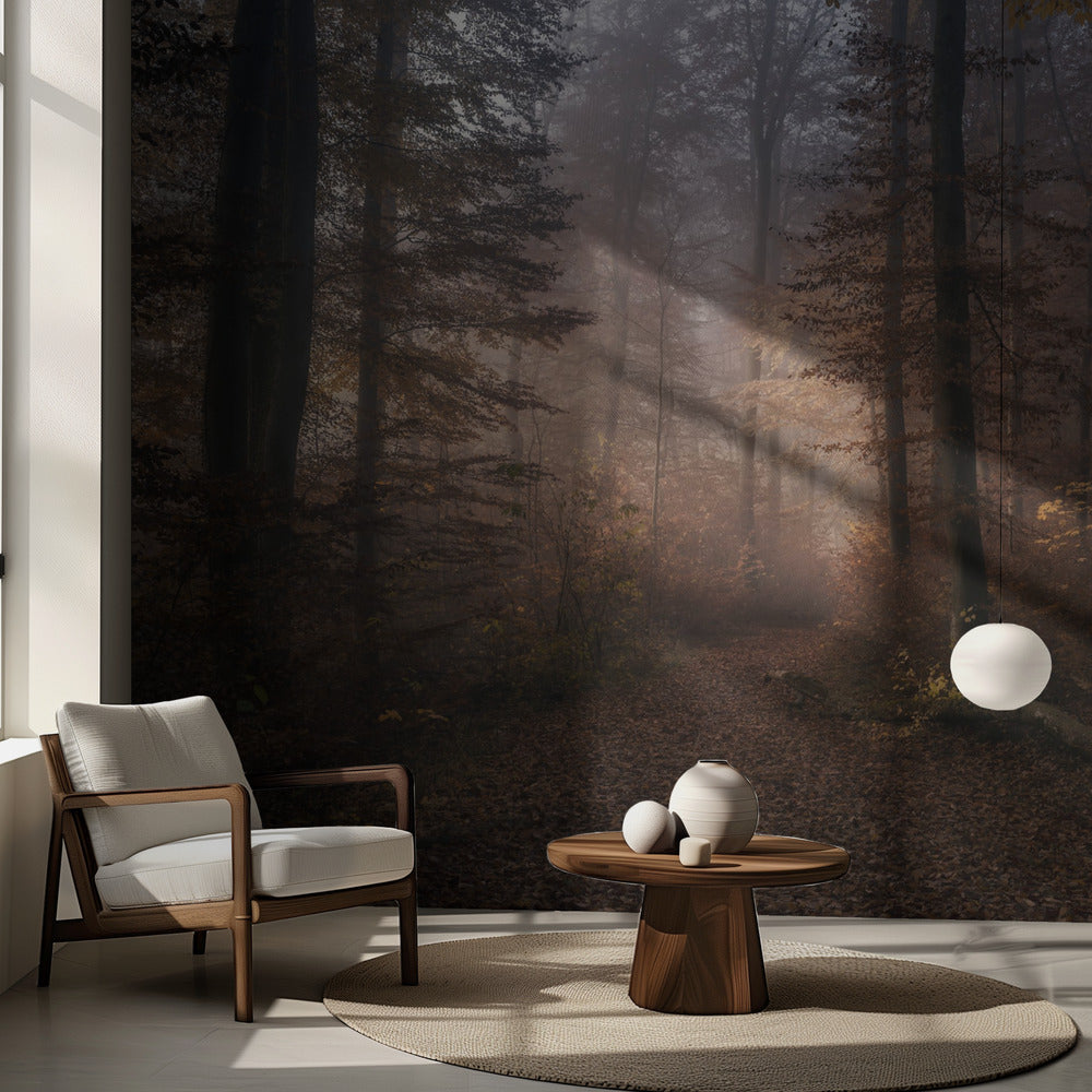 Novembersymfonin | Fototapet