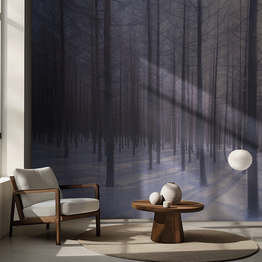 Vintersol | Fototapet