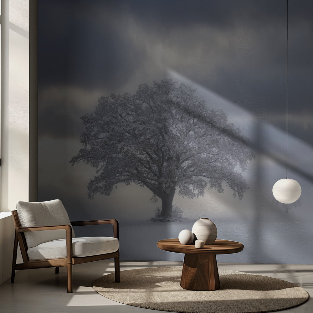 Kall morgon | Fototapet