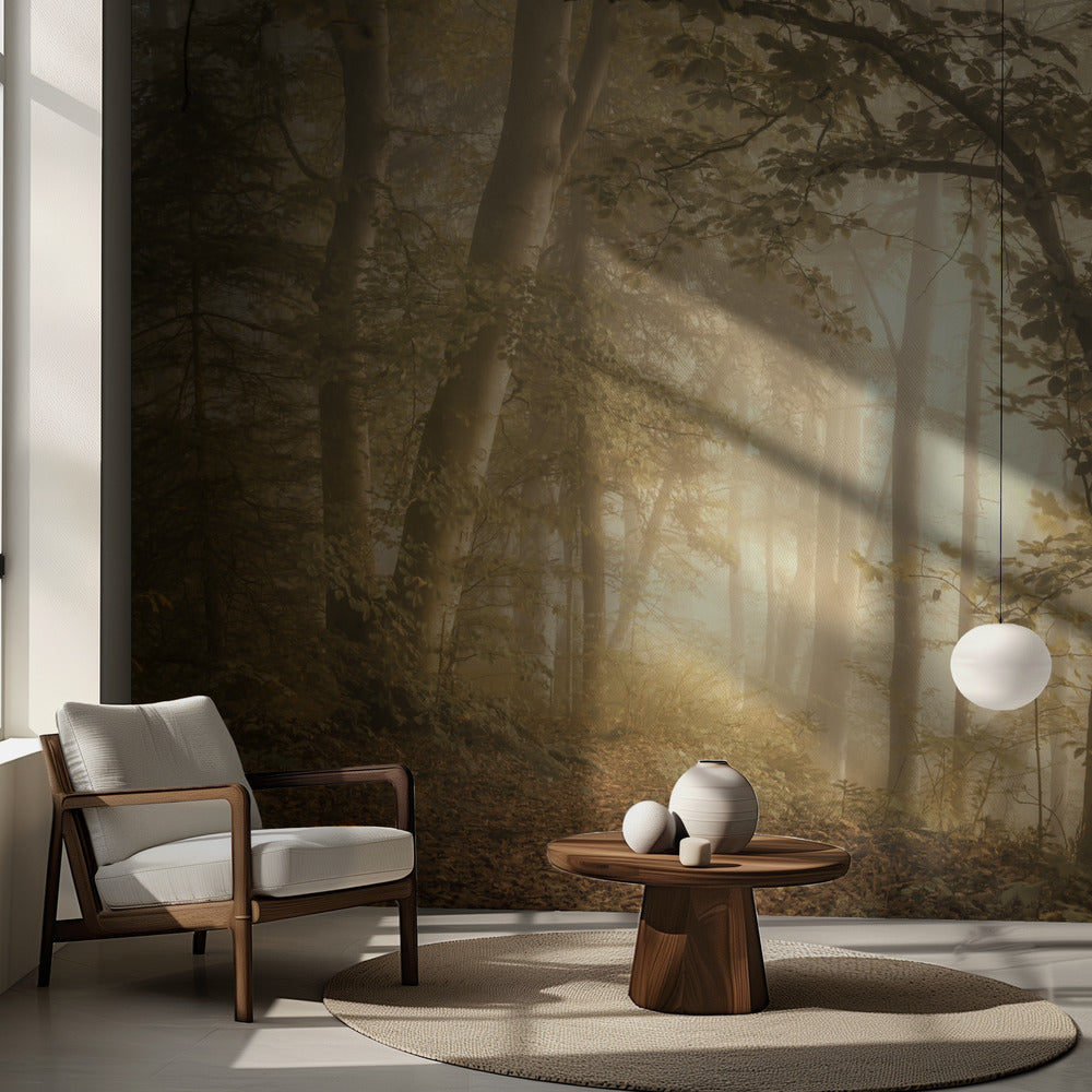 Skogsljus | Fototapet