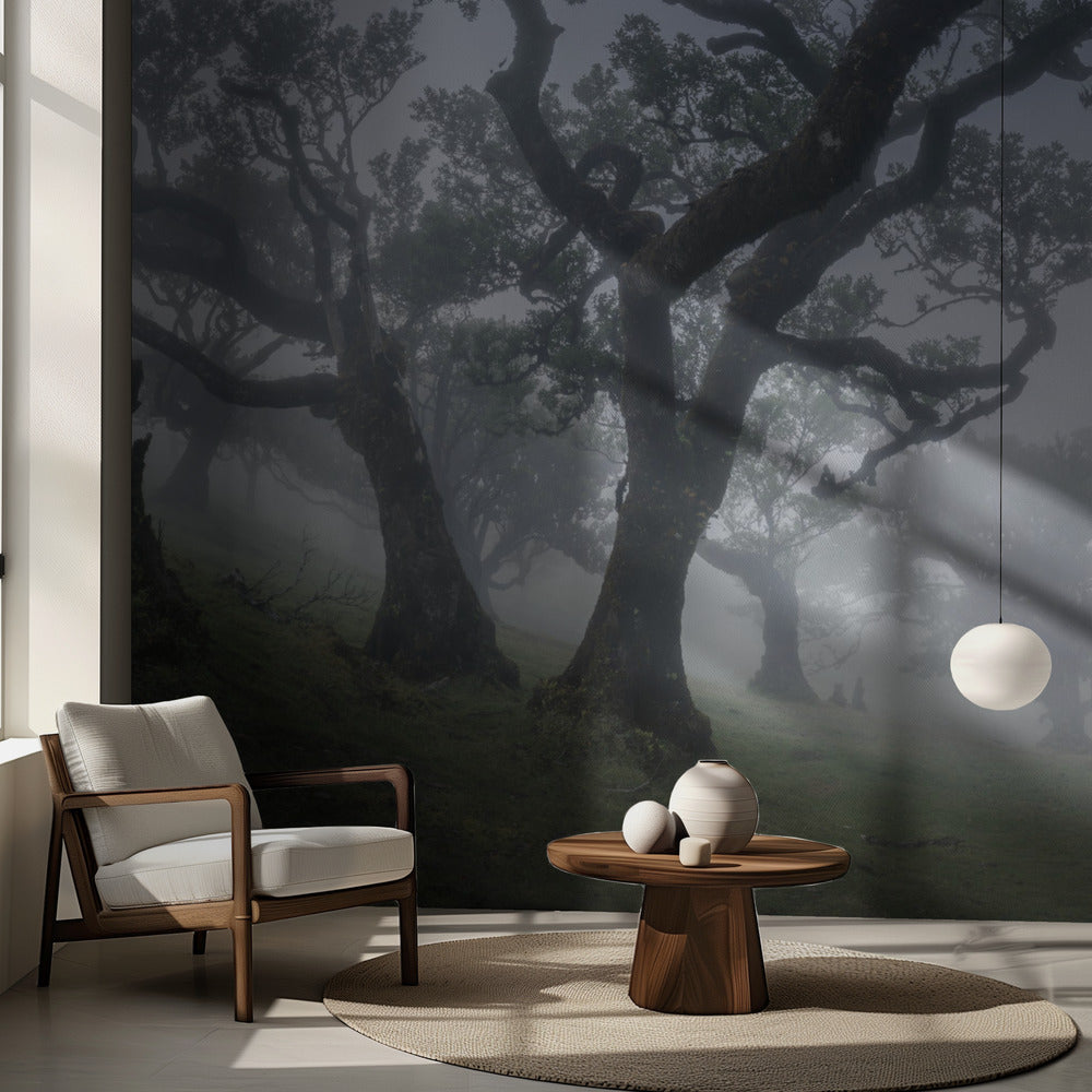 Morgondimma | Fototapet