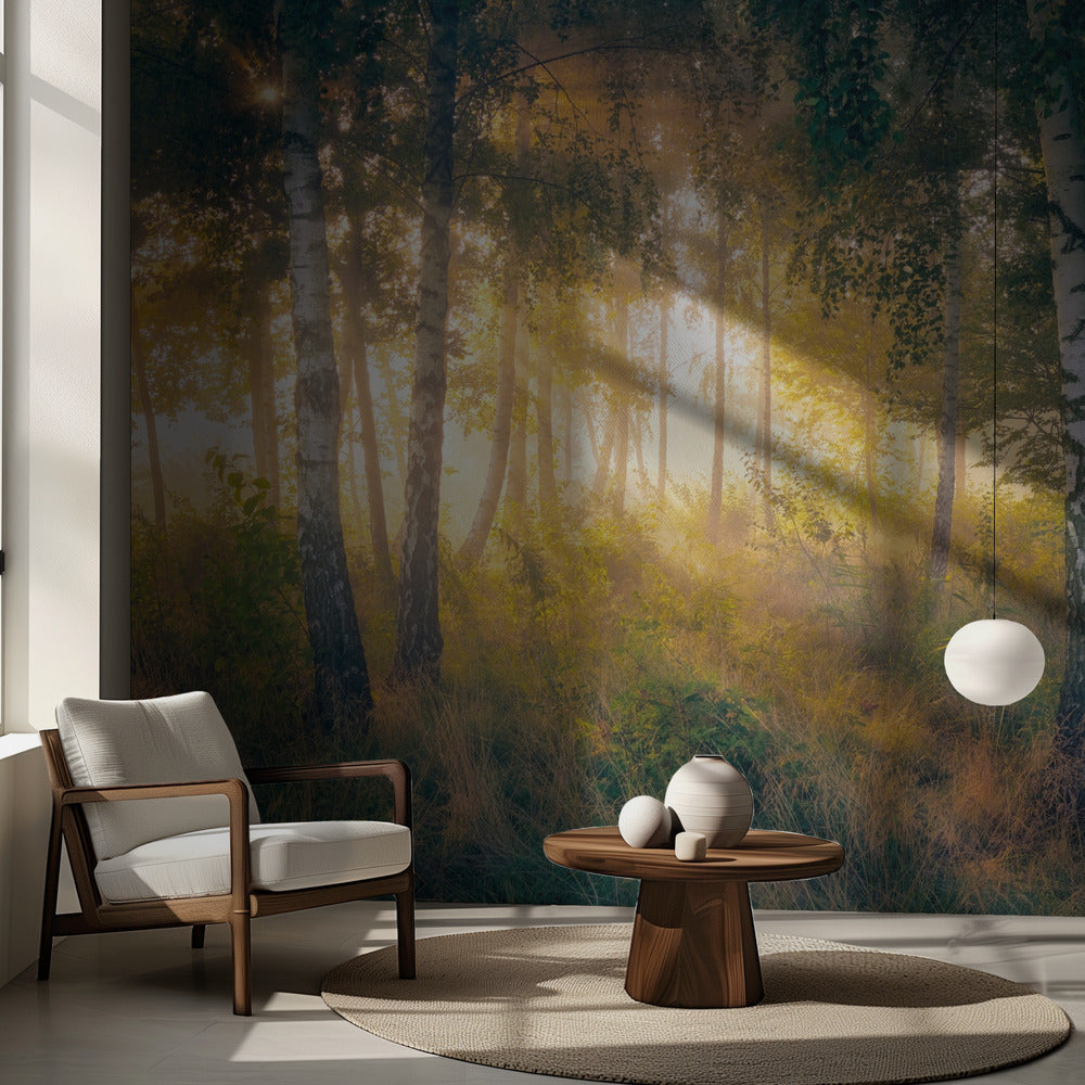 Guld i skogen | Fototapet