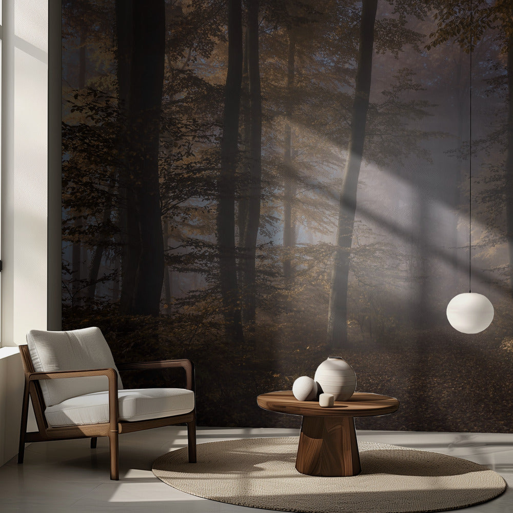 Vägen in i ljuset | Fototapet