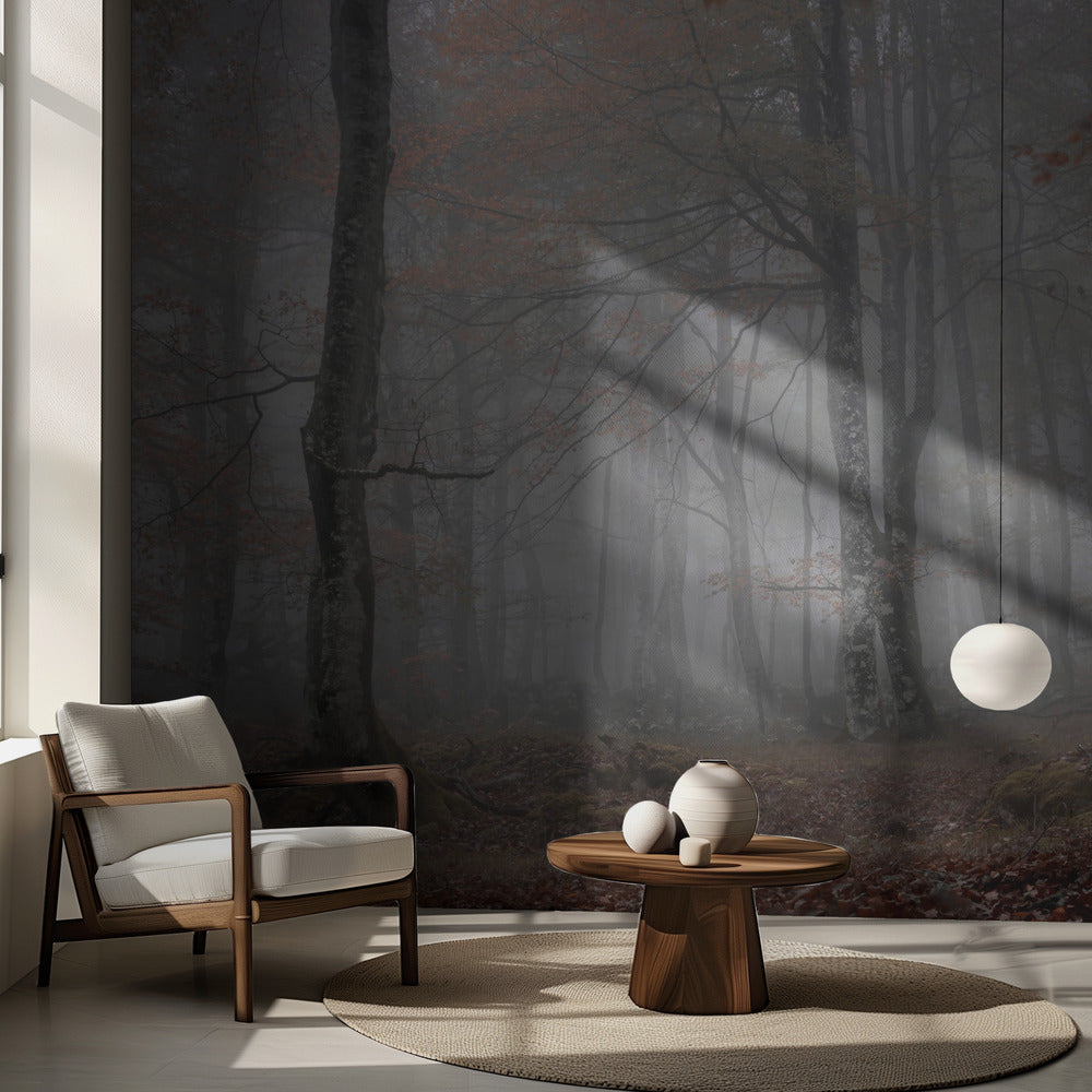 Dimma och skog | Fototapet