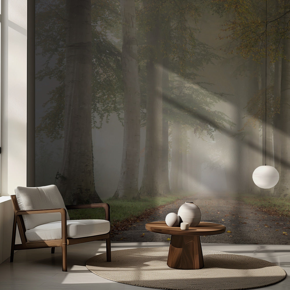 Bokträd i höstdimma | Fototapet