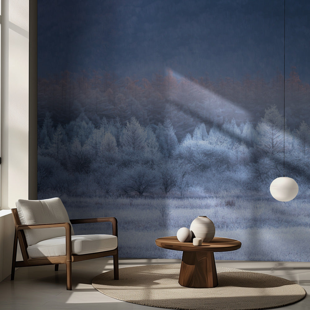 Höst- och vintergradienter | Fototapet