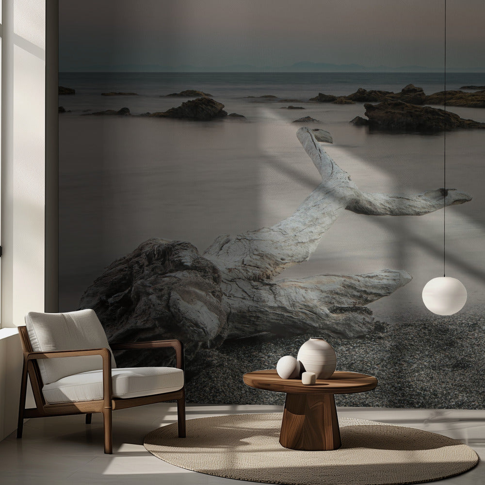 Trädfiskkadaver | Fototapet